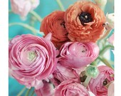 Nature Photograph, Ranunulus Bouquet, 8x8 Print, Shabby Chic, Flower Photography, Fine Art Photo, Orange, Pink, Teal