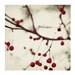 Winter Tree Photograph, Dark Berries, 5x5 Print, Bare Branches, Nature Photography, Fine Art Photo