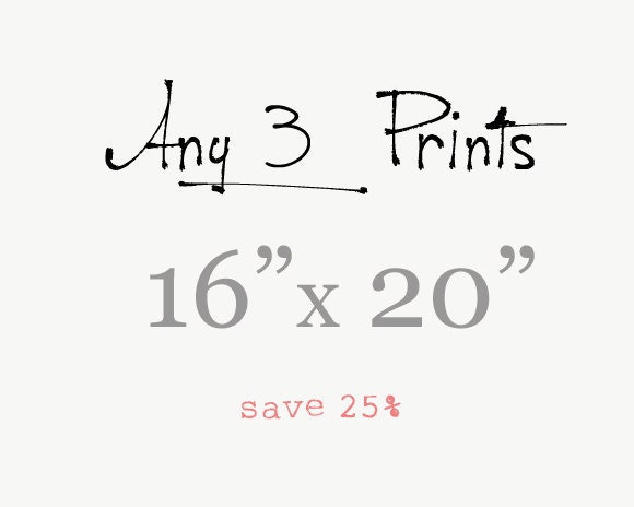 Photography set - Three 16x20 Poster Prints - Fine Art Photography - Save 25%