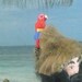 Art Doll Robinson Crusoe Miniature Literary Art Collectible