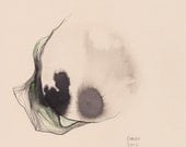 Original 'Seed' illustration