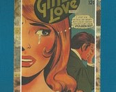 Disgraced Pulp Paperback Book Cover - Large Trade Size