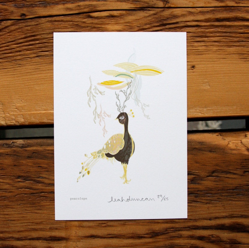 Peacolope Print 5 x 7