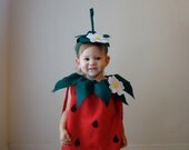 Strawberry Costume  Kids Costume Halloween Costume Childrens Costume