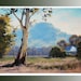 FARM PAINTINGS commissioned Australian gum tree landscape impressionist artwork by Graham Gercken