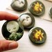 MAGNET Set: Moons - 3 Meluseena magnets