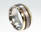 Dinosaur Ring with Gibeon Meteorite and 14K Gold Inlay - Very Rare and Unique - Signature Series