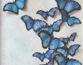Butterflies 3D Painting - Blue Butterflies Original Wall Art