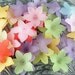 Acrylic Bead 18 Star Daisy Flower 5-Petal Point Frosted 20.5mm (1021luc19m2) ... last remaining packages