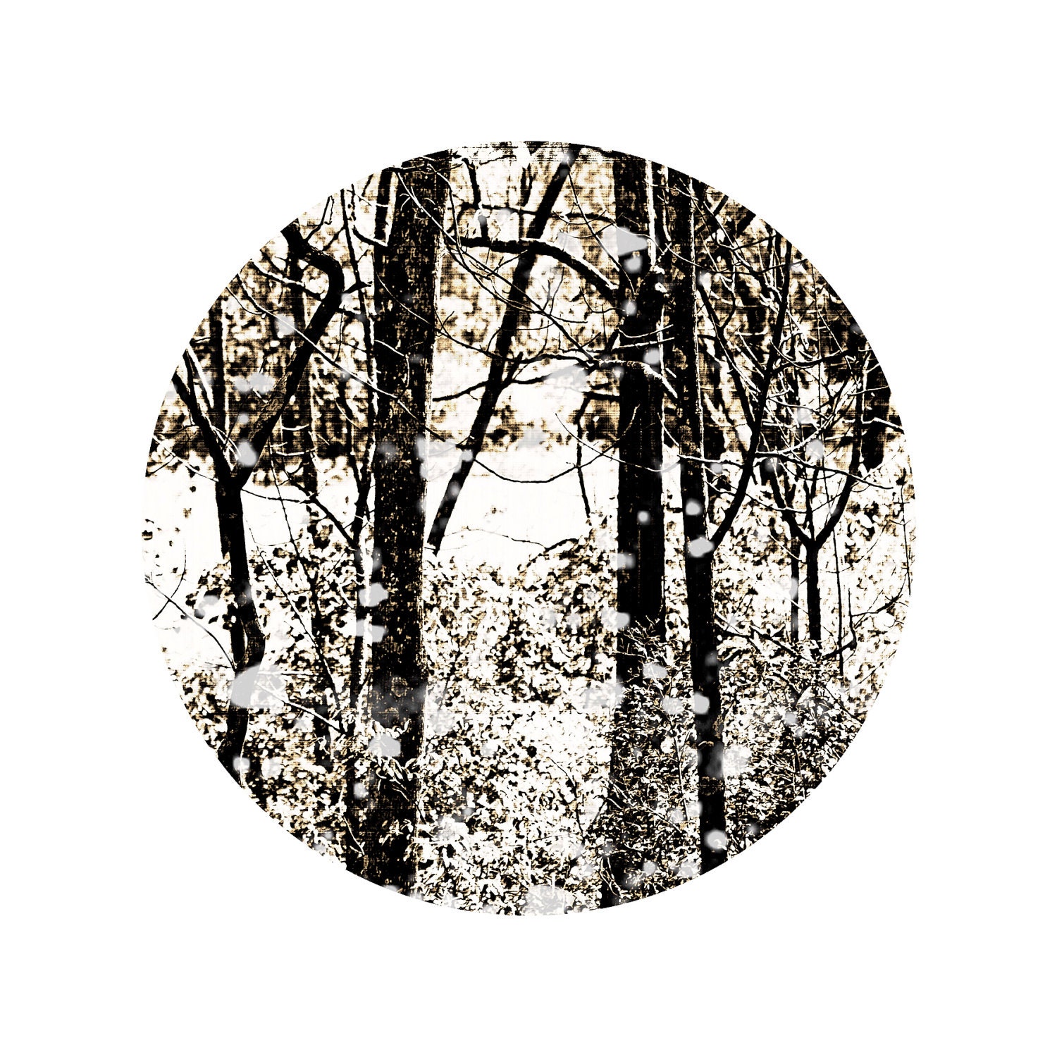 Snow Photography, woodlands, black and white, First Snow, nature fine art photography print 12x12