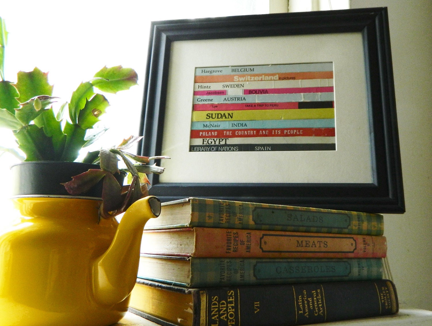 Travel Inspired Framed Wall Art/Decor , Recycled Vintage Book Bindings Framed