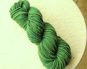 hand dyed lamb's pride bulky - blue green