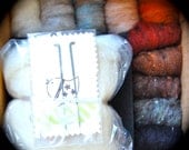 Natural Hues Needle Felting Starter Kit READY to SHIP