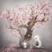 Hanami