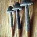 2" Black swirl mushrooms with a golden root tip.