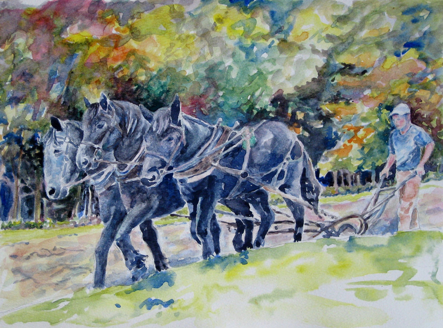 horses painting fields