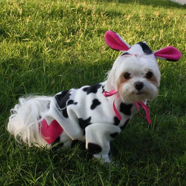 Cute Cow Pet Halloween Costume for Dogs