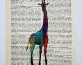 Giraffe Vintage French to English Dictionary Page Original Art 500 Series