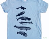 Kids Tee WHALES Shirt - American Apparel Sizes 2 4 6 8 10  (3 Colors) - FREE Shipping
