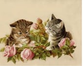 Striped Tabby Kittens In Roses Sweet Tabby Cats in Flowers Cards