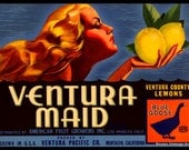 Vintage Fruit Crate Label - VENTURA MAID LEMONS ca 1920 - Giclee Fine Art Print
