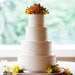 16" Rustic Wood Tree Slice Wedding Cake Base or Cupcake Stand for your Event and Party or even a Newborn Photo Prop