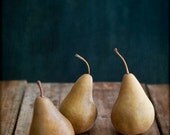 fruit, Kitchen Decor, pears, teal, grey, gift - Pears 8x10 Print - by Tina Crespo Philadelphia
