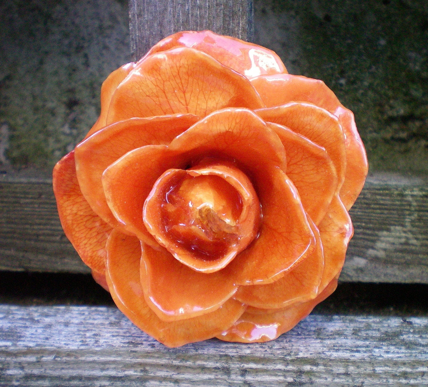 REAL Natural Preserved Orange ROSE Pin and Pendant