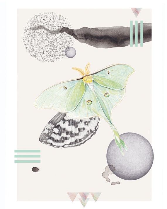 Luna Moth   A3 SIZE