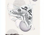 Silk Moth   A3 SIZE