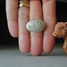 Fossil Ring, Fossil Fern, Sterling Silver Ring, OOAK, Taupe
