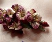 SALE Pansies Velvet Flowers in Ivory and Claret for Boutonnieres, Headbands, Millinery, Corsages