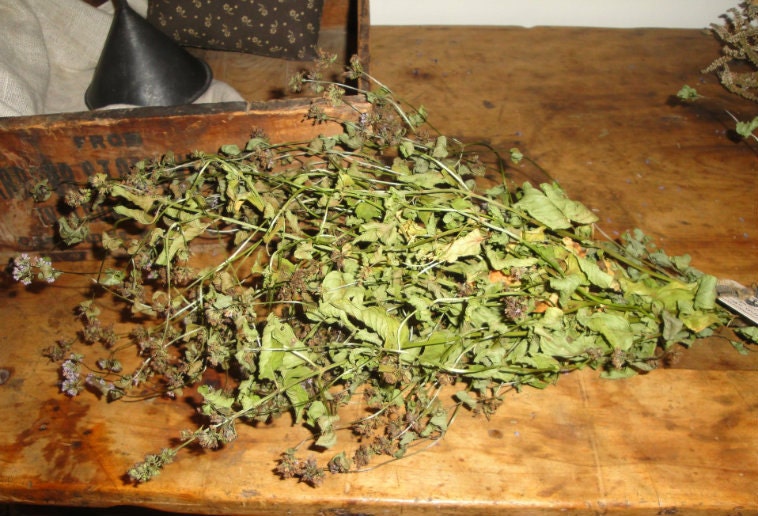 ORANGE MINT organically grown dried bunch