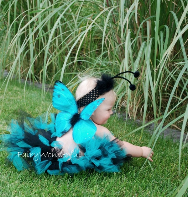 Ready to Ship Close Out Turquoise Monarch Butterfly Wings