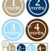 IRON ONS - Decal - 12 Monthly onesie iron on heat transfers - for Baby boys - blue, brown & tan