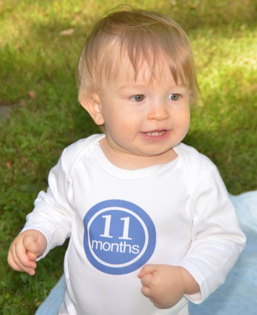 IRON ONS - Decal - 12 Monthly onesie iron on heat transfers - for Baby boys - blue, brown & tan