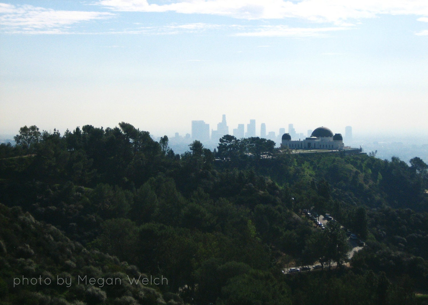 Jungles Los Angeles