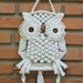 Macrame White Owl and its Nest - Beautiful Wall Hung Decoration