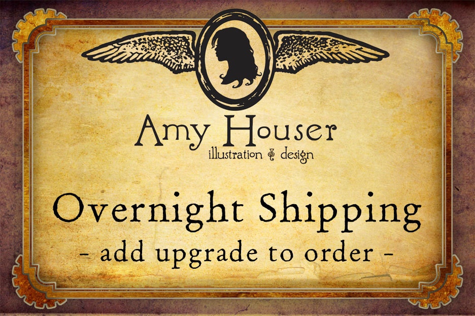OVERNIGHT SHIPPING