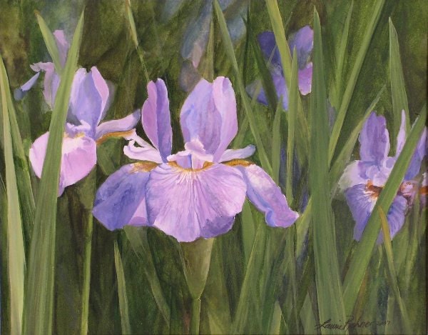 Iris Watercolor Nature Art Botanical Garden Landscape Original Painting by Laurie Rohner