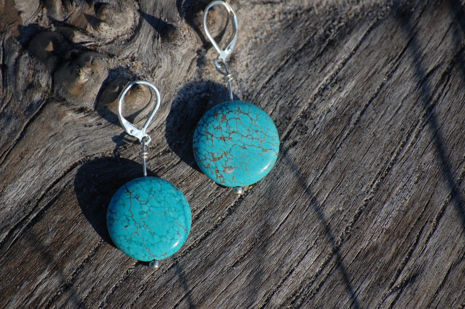 Robins Egg Earrings