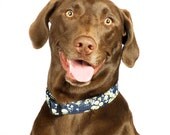 Floral Dog Collar - Meadow in Blue