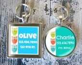 Retro 3 Owls Silver Custom Pet ID Tag