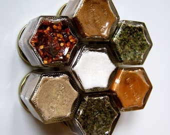 BASIC KIT:  Magnetic Spice Rack Includes Seven Basic Organic Herbs and Spices. Perfect for those starting out or starting over...
