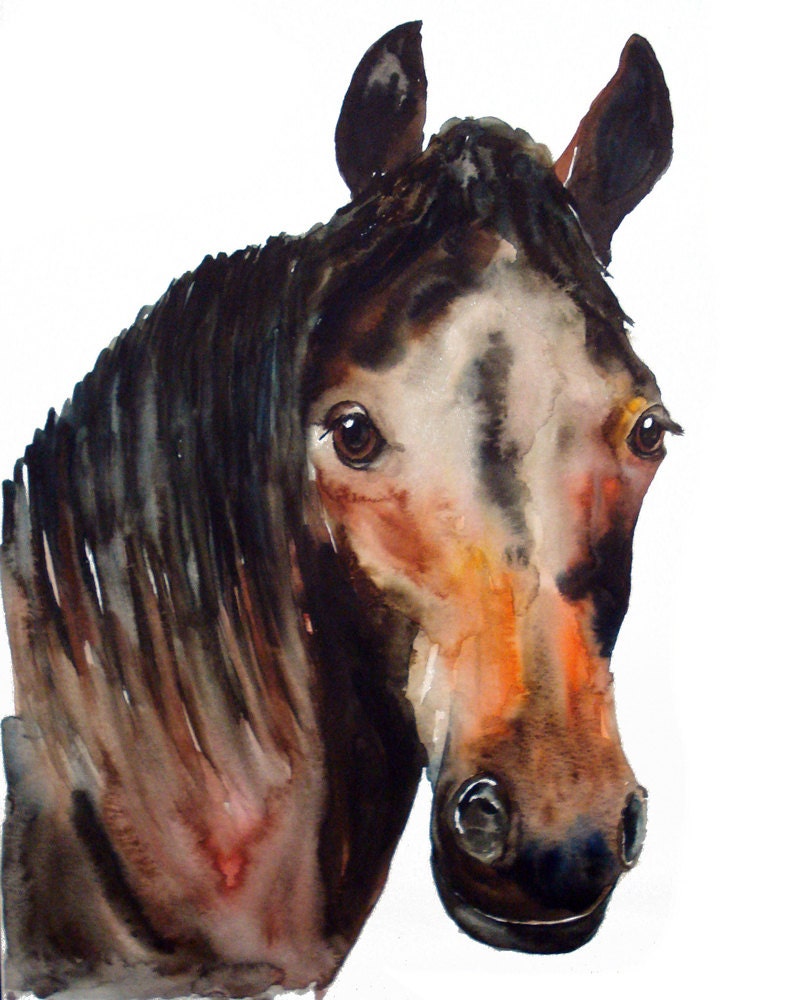 HORSE portrait Original watercolor painting 11X14inch