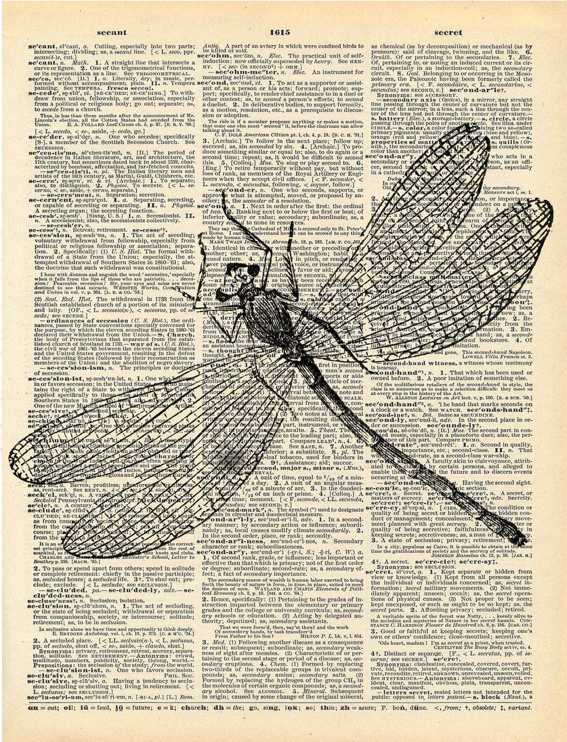 Antique Book Print - Dragonfly Insect Art Print - Art Nouveau Book Art Print - Natural History Insect Illustration - Elegant Victorian Art