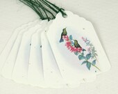 Tags Hummingbirds - T148