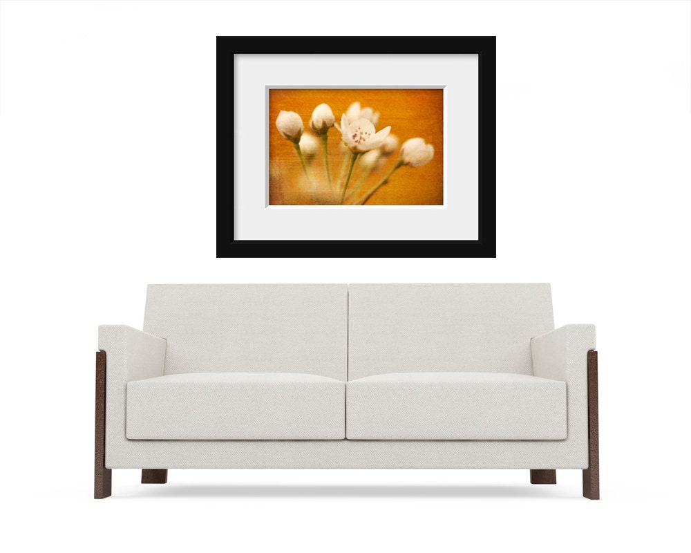 Nature Photography, Fine Art Print, Photo, Golden, Persimmon Macro Dreamy Blossoms, 8x12 Home Decor