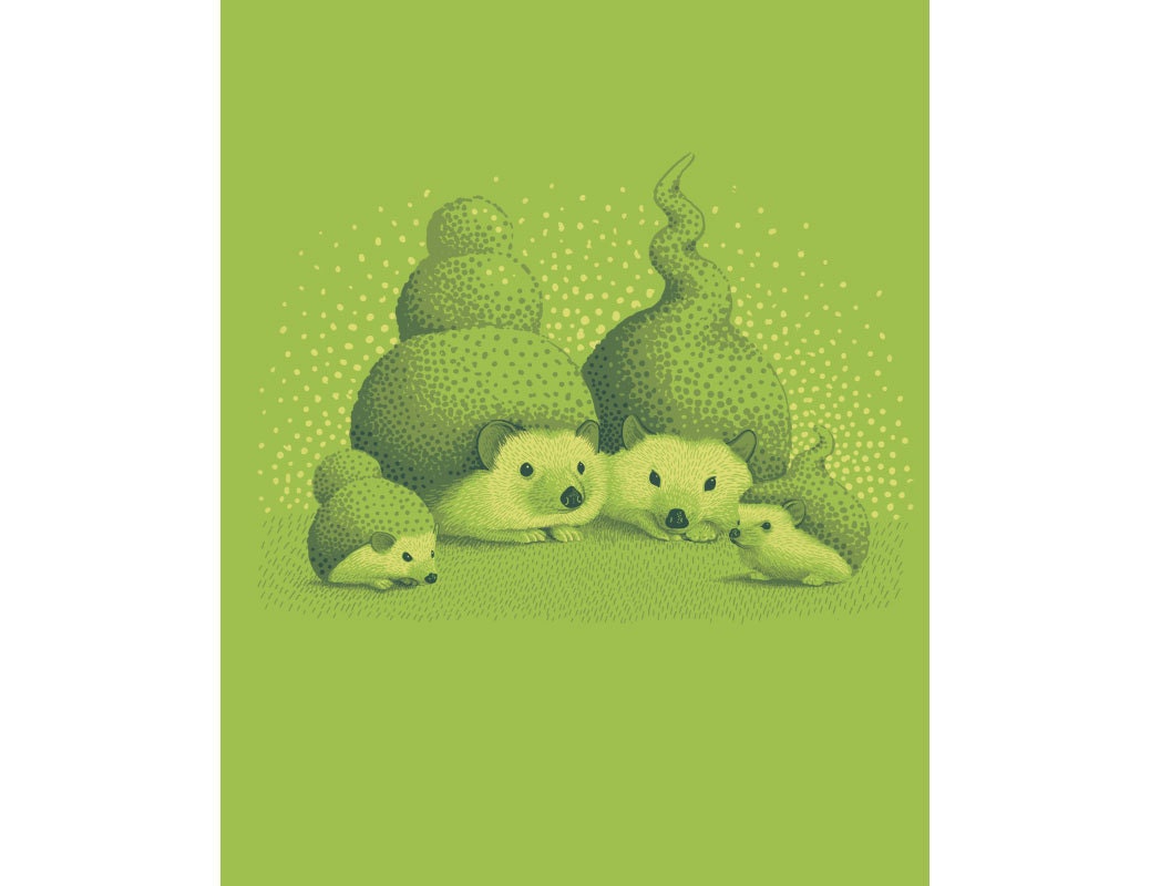Hedge Hogs