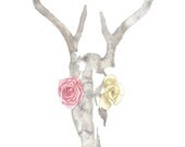 in bloom - 8.5 x 11 print of an original watercolor painting
